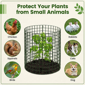 Hacaroa 12-pack cages help organize multiple plant enclosures.