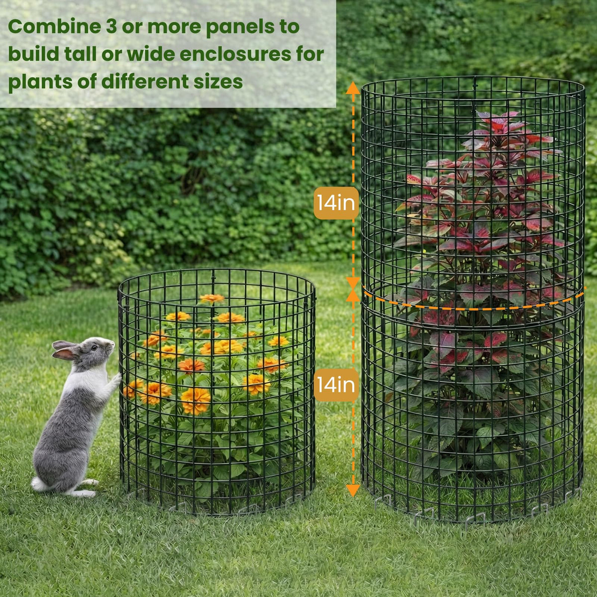Hacaroa rust-proof garden cage protects shrubs and vegetables.