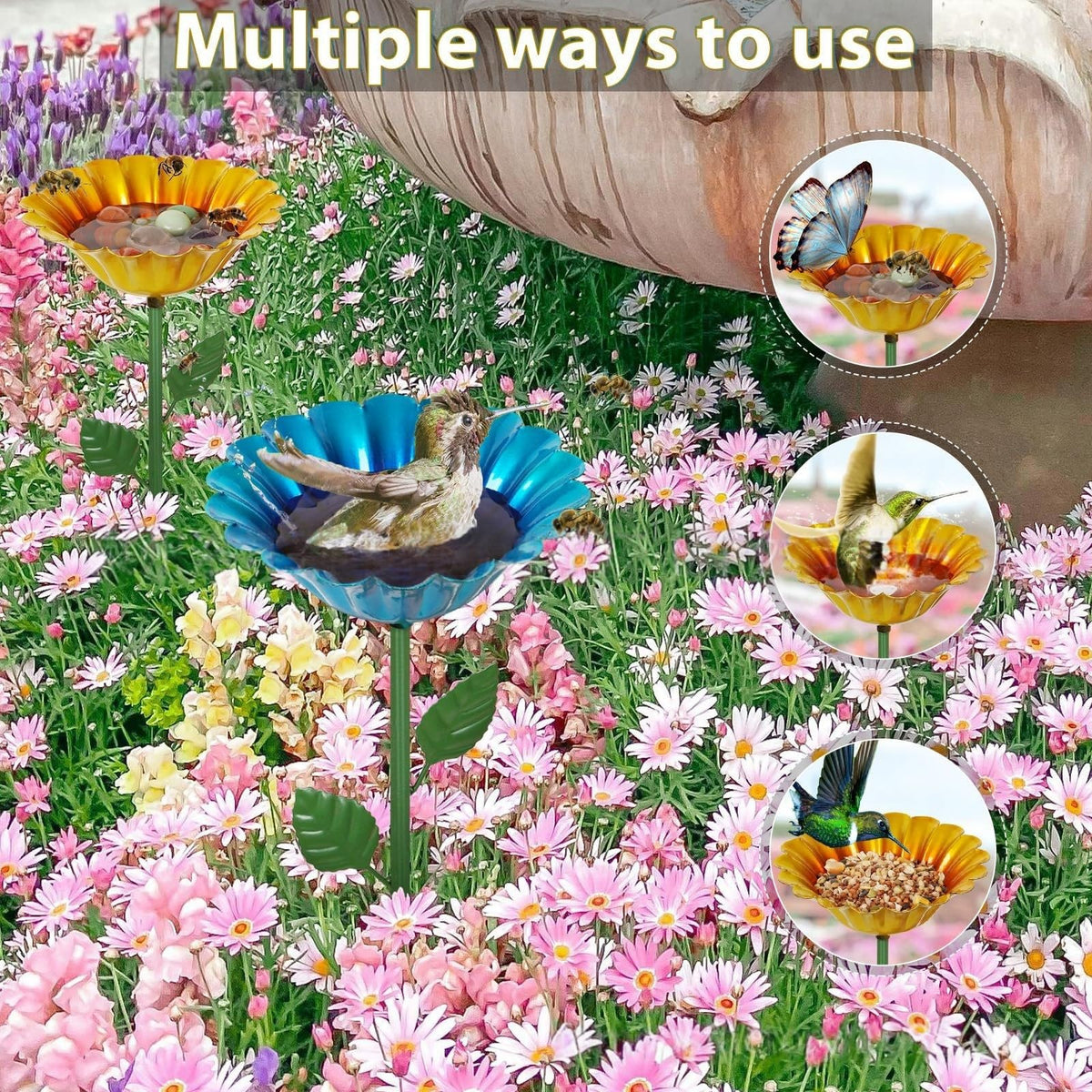 Haetair shallow water depth helps bees land safely.