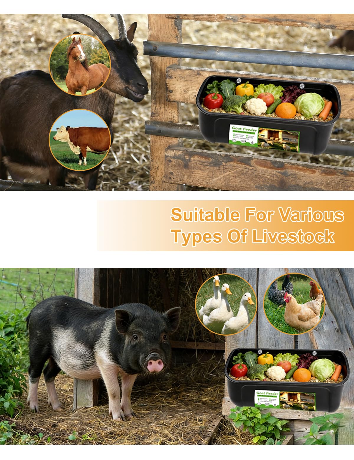 HAEZU 4-pack goat feeders ready for multiple feeding stations.