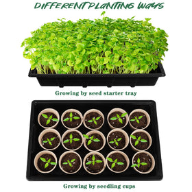 Hahood 10-cells tray helps organize diverse seed varieties.