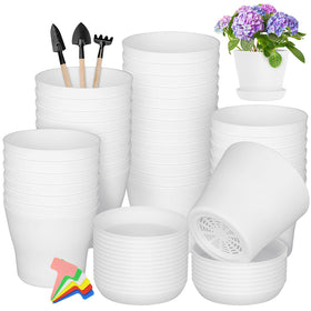 Hahood 36-pack white plant pots with trays for seed starting and organized gardening