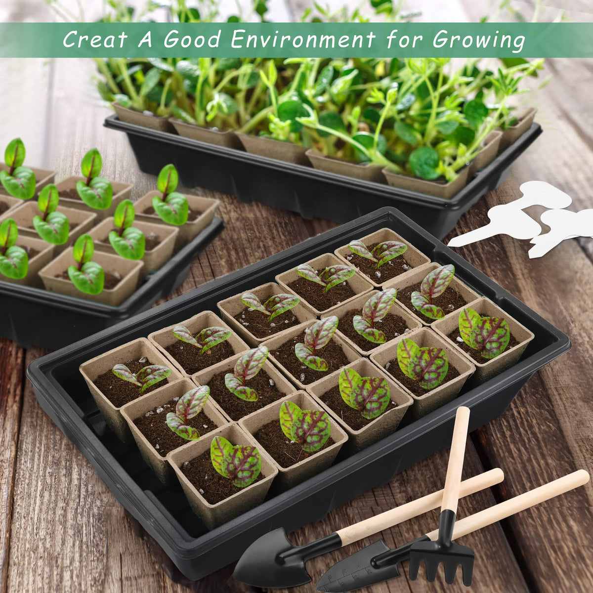 Hahood biodegradable pots with drainage for eco-friendly starting