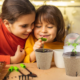 Hahood compact starter kit fits vegetables, herbs, and succulents on windowsills
