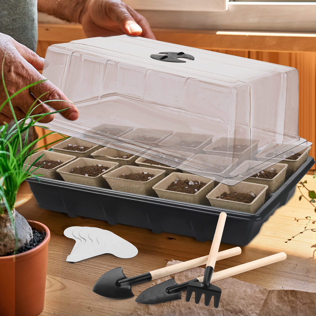 Hahood compact sowing setup ideal for balcony gardens
