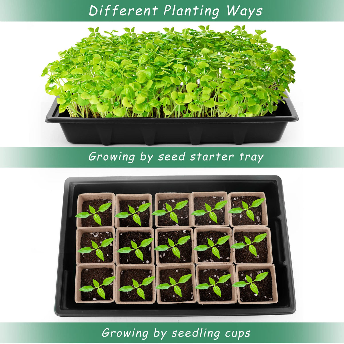Hahood mini garden tools set for gentle transplanting and care