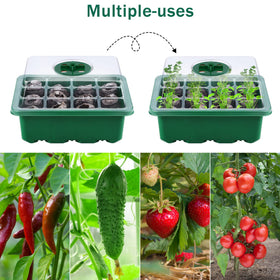 Hahood garden tools set includes essential tools for planting