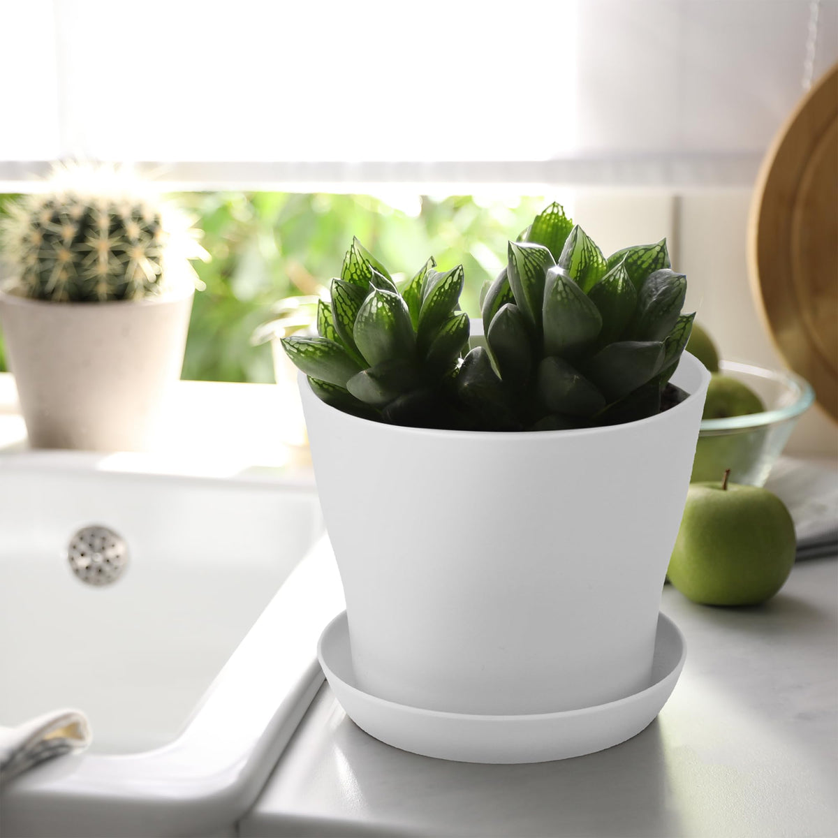 Hahood pots suitable for indoor and outdoor gardening on windowsills or patios