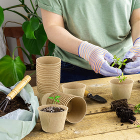 Hahood packaging for 160 pots and 160 labels fits standard nursery setups.