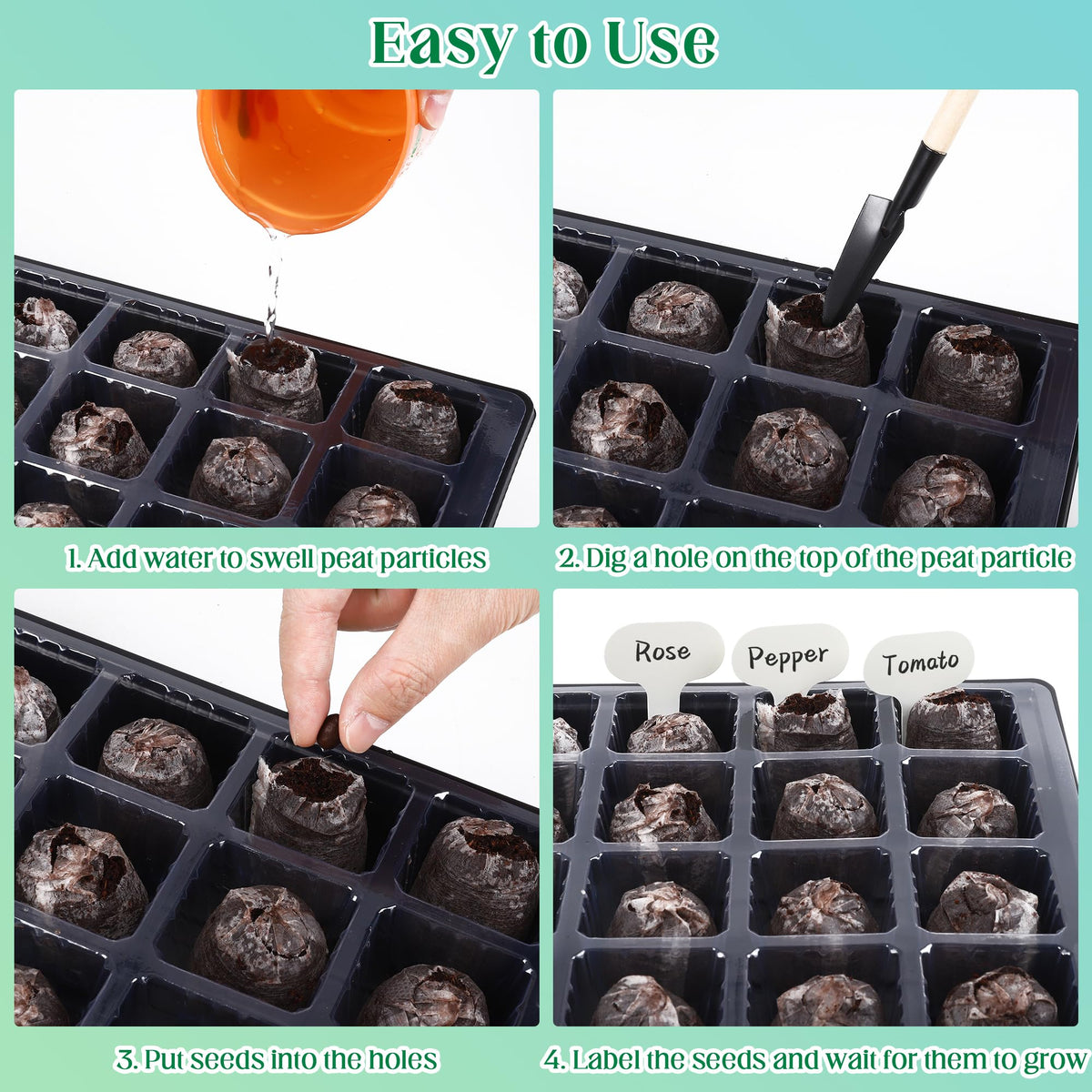 Hahood plant labels help track varieties clearly.