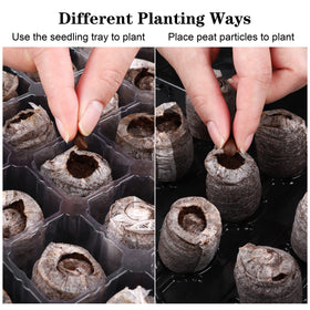 Hahood plant labels help track varieties and growth stages