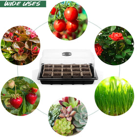 Hahood plant labels help track varieties during germination.
