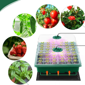 Hahood humidity dome and base help maintain moisture for seedlings.