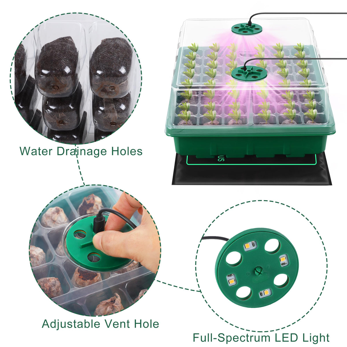 Hahood full-spectrum LED lights support growth across seedling stages.