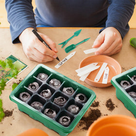 Hahood seed starter tray dimensions 7.3 by 5.7 inches for compact setup