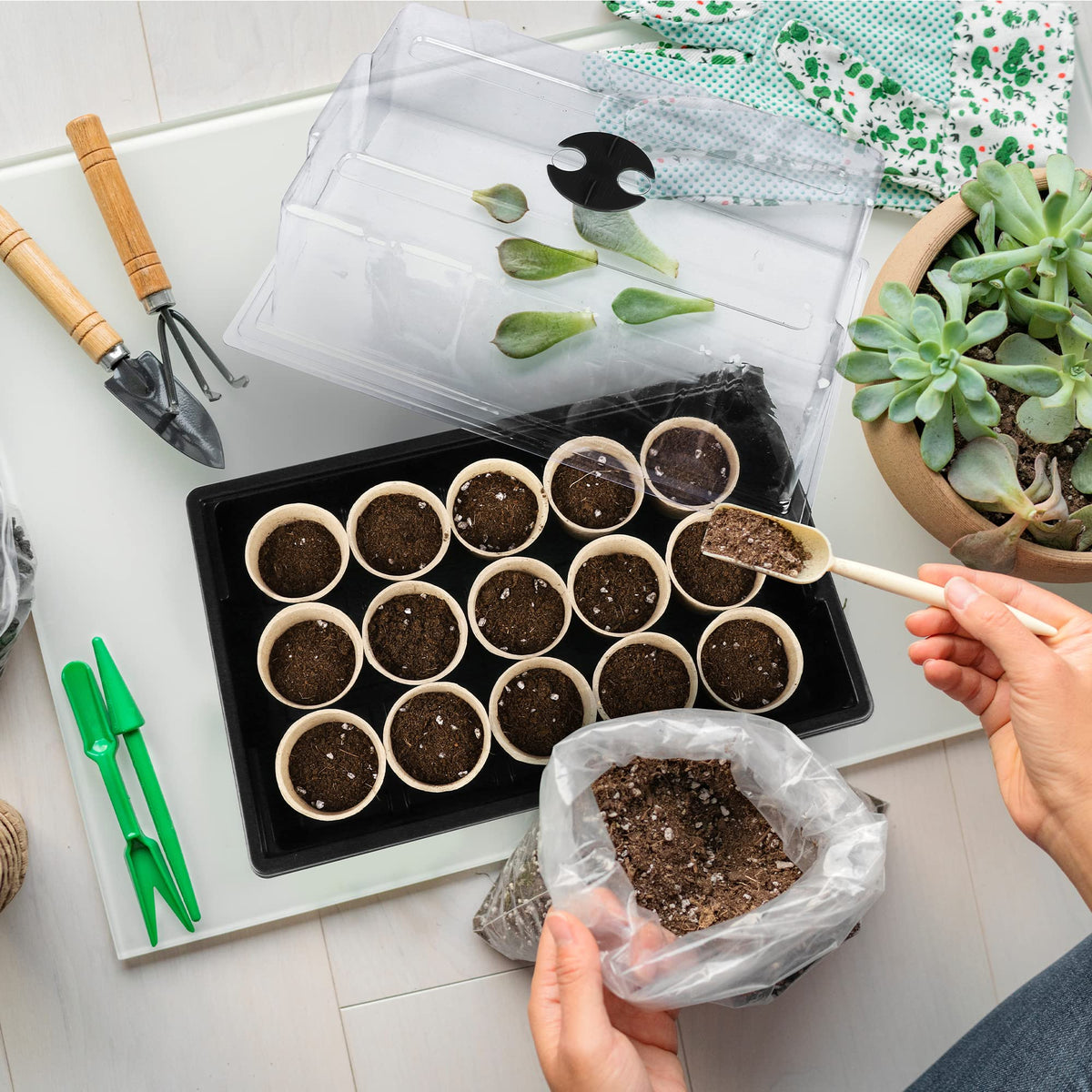 Hahood seed starter tray with lid supports humidity and visibility.