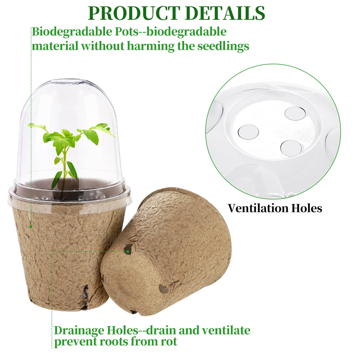 Hahood clear humidity dome shows growth while supporting germination and observation