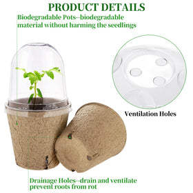 Hahood clear humidity dome shows growth while supporting germination and observation