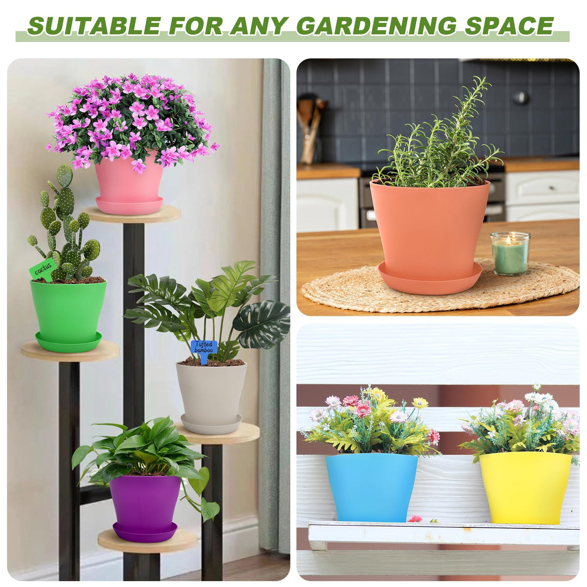 Hahood seed-starting pots sized 5.5 inches for mini plants