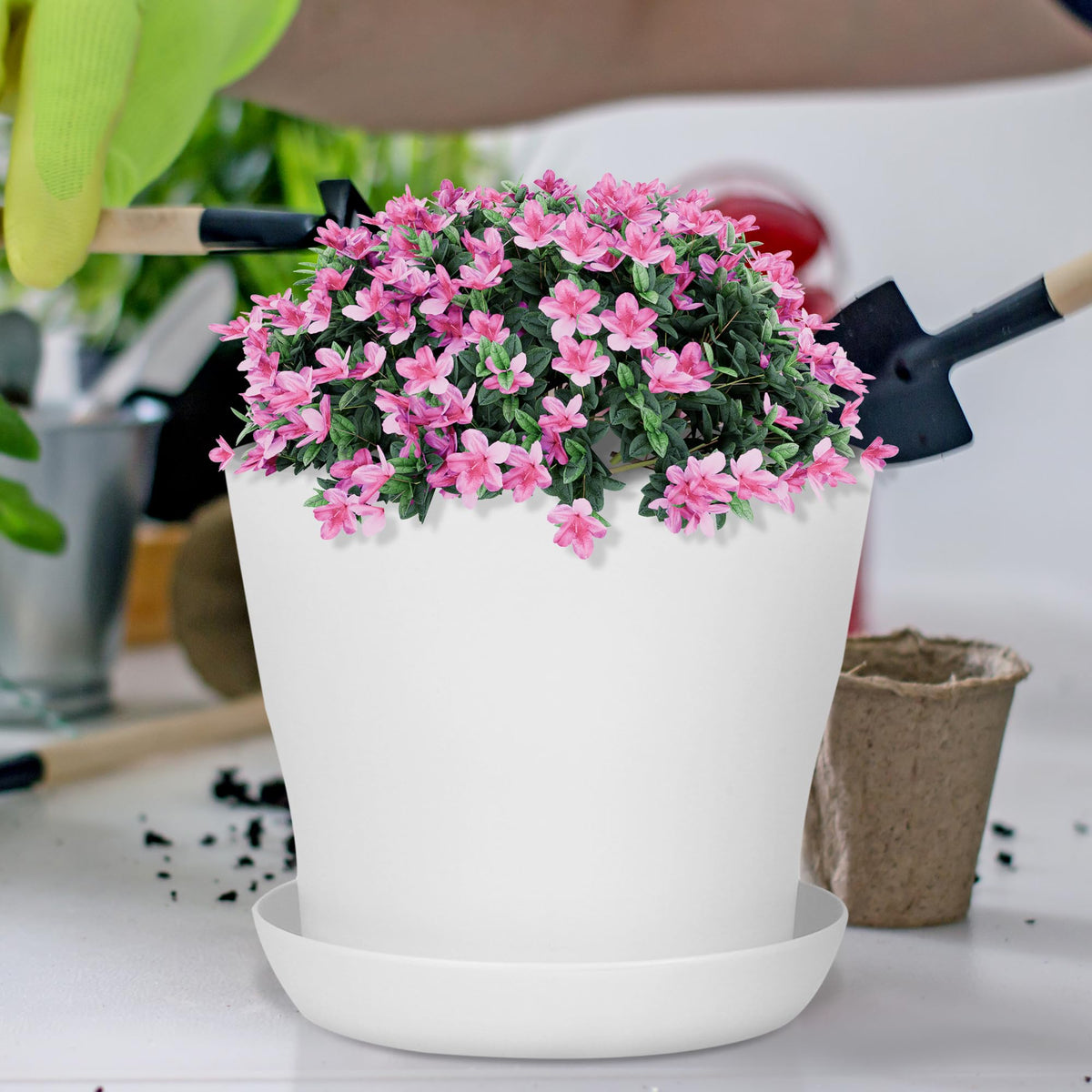 Hahood seedling-ready design demonstrates easy transplanting from tray to pot