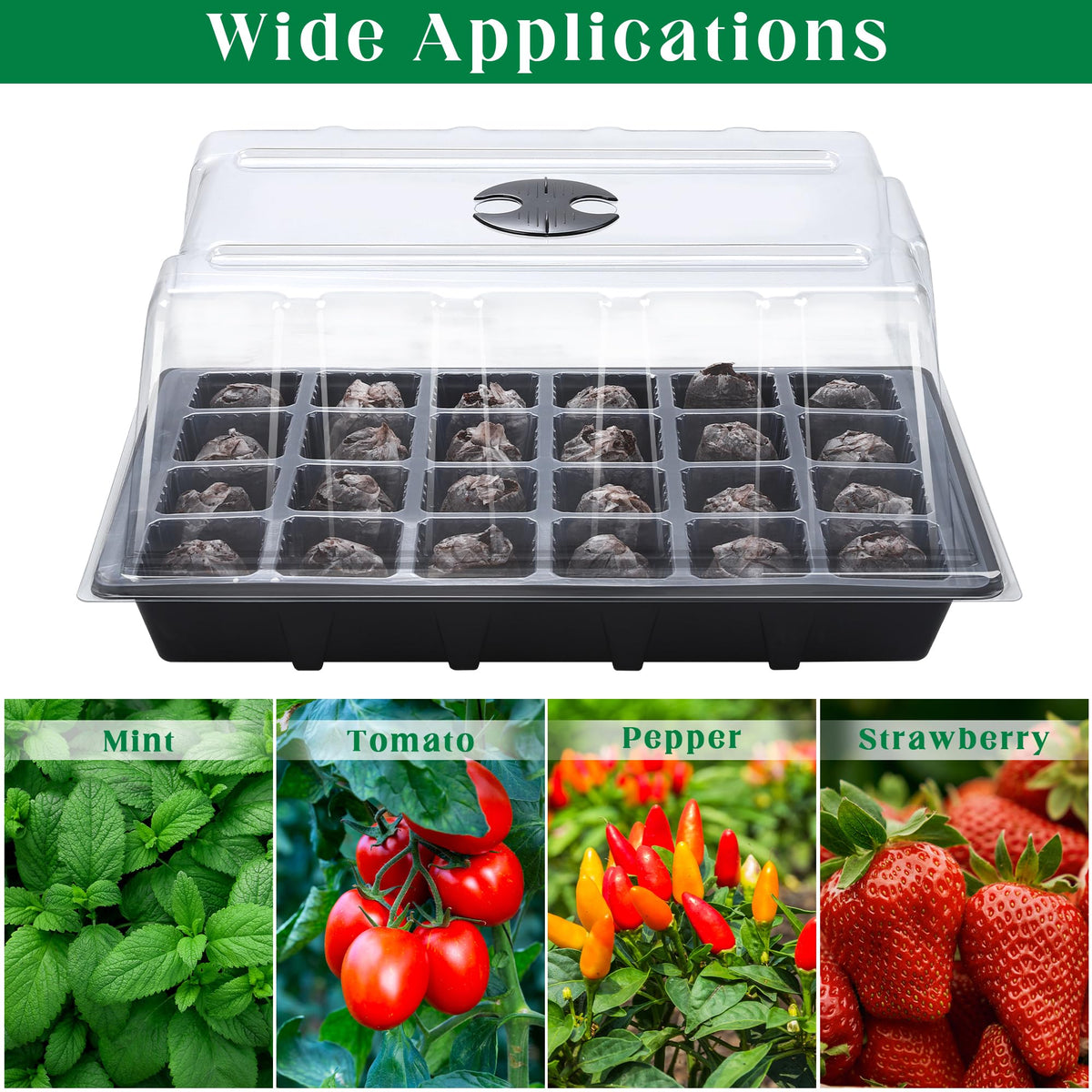 Hahood seedling tray with drainage holes for aeration.