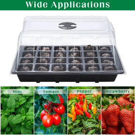 Hahood seedling tray with drainage holes for aeration.