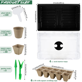 Hahood square peat cups ready for transplanting sturdy seedlings.