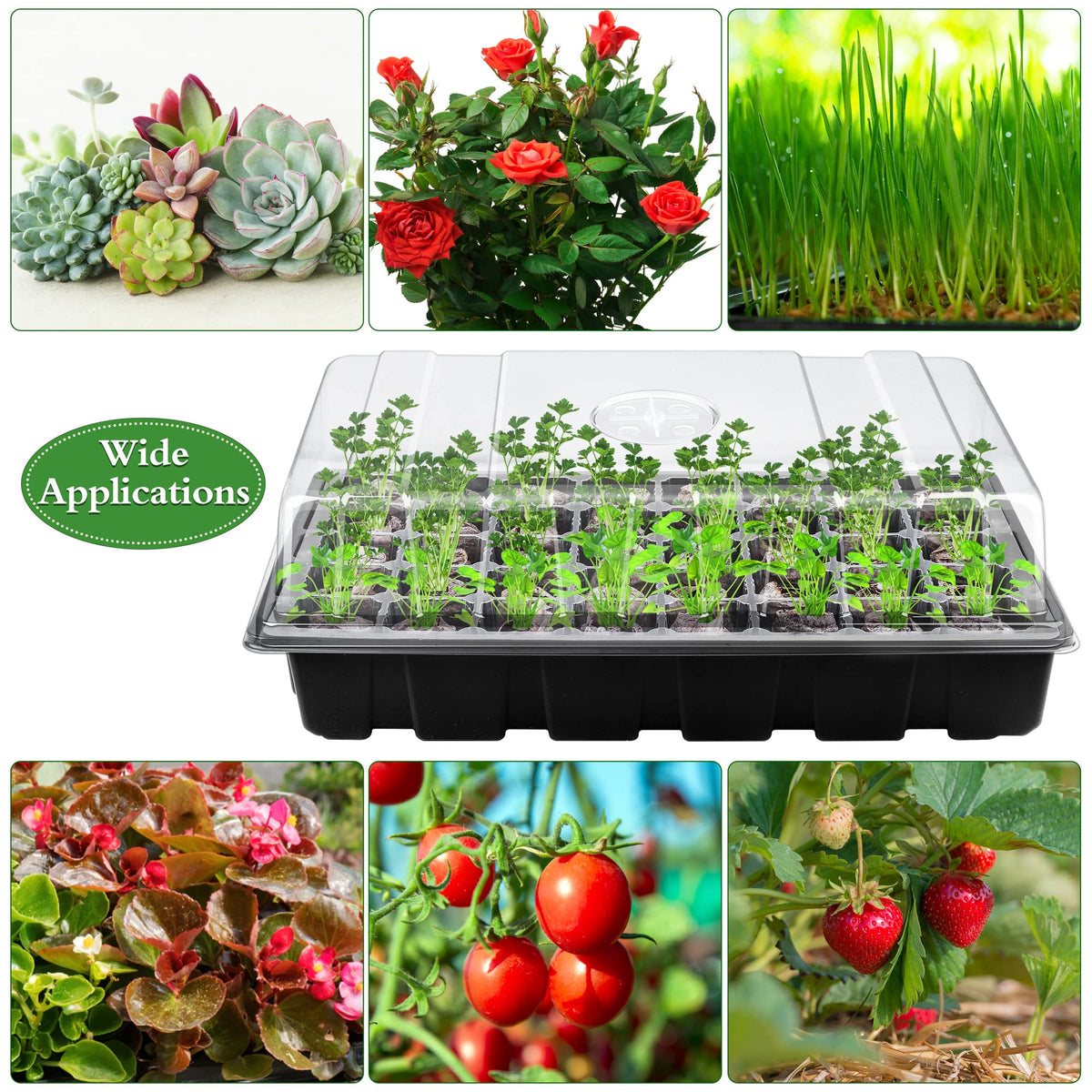 Hahood tray with drain holes ensures proper drainage