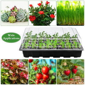 Hahood tray with drain holes ensures proper drainage