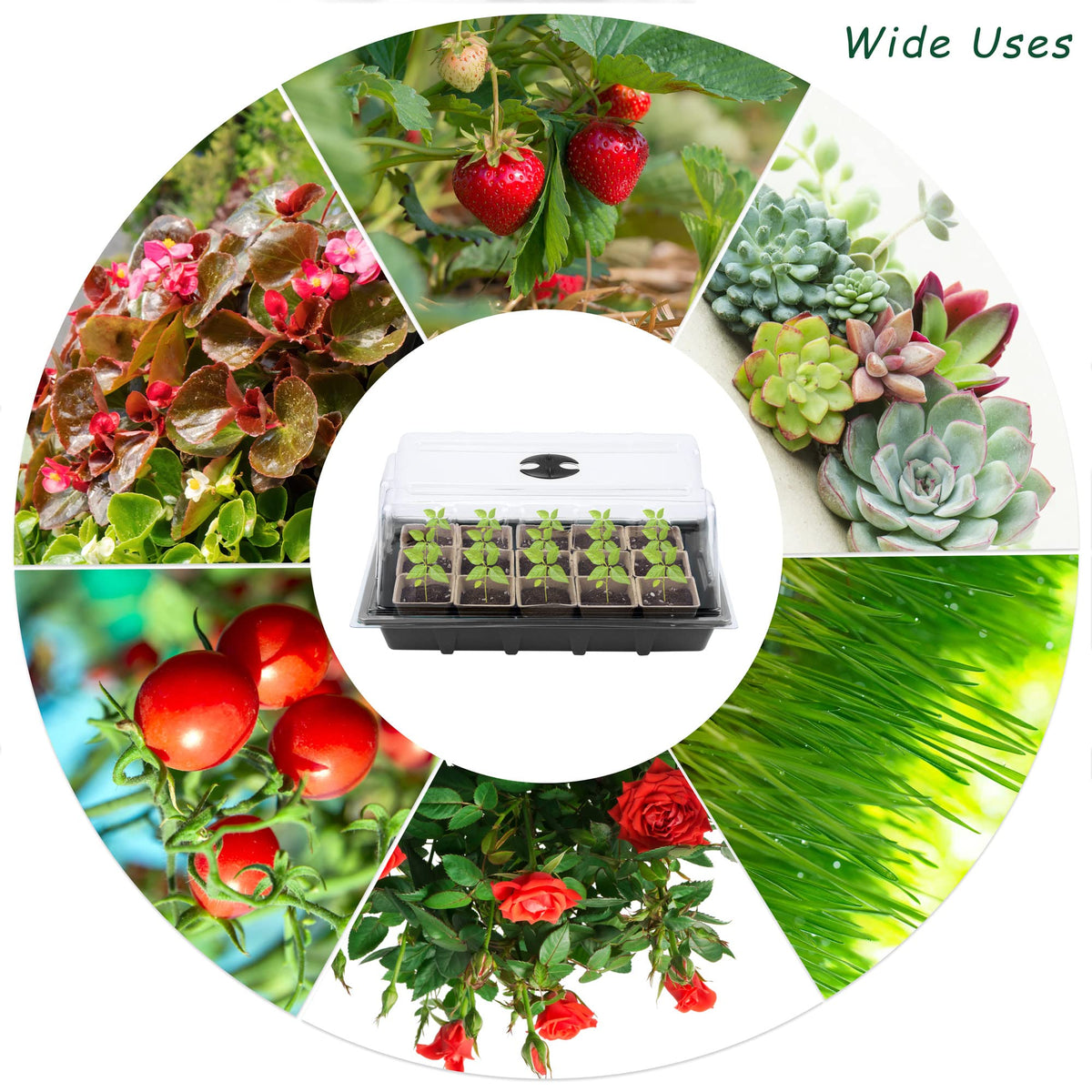 Hahood transparent lid on seed starter tray maintains humidity and warmth