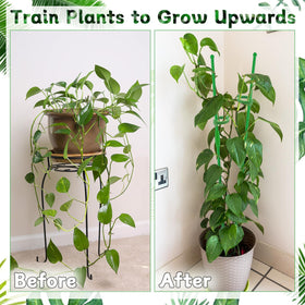 HAINANSTRY adjustable length design adapts as plants grow
