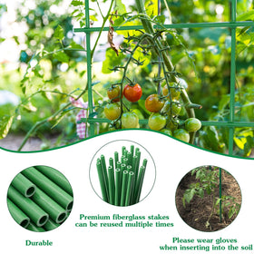 HAINANSTRY suitable for indoor and outdoor gardens and containers.