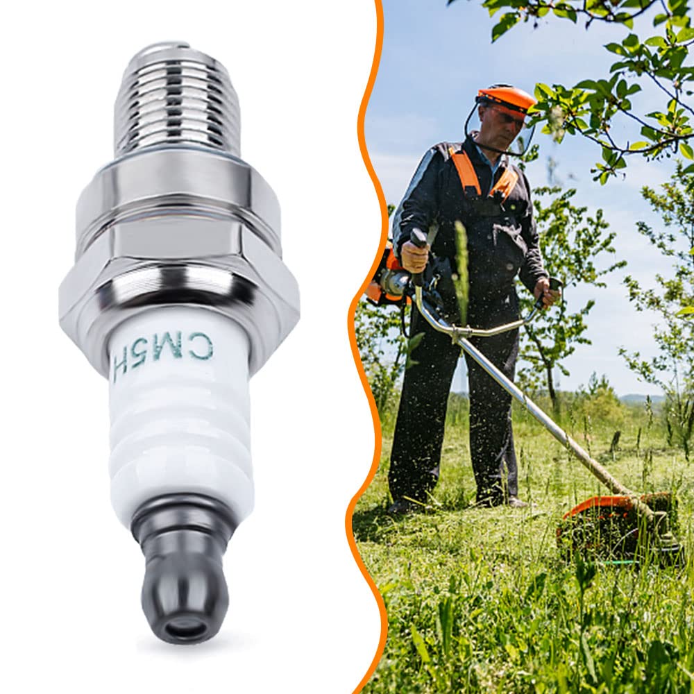 HAISHINE CMR5H spark plugs laid out suggest straightforward replacement workflow.