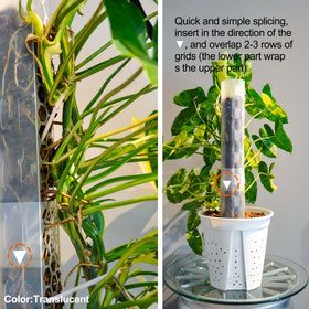 Indoor plant display using Haispring pole supports lush vertical growth.