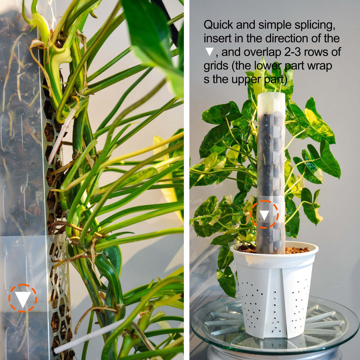 Haispring 17-inch pole promotes upward growth for climbing plants.