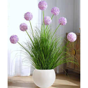 Haispring plant pot 12in-opening closeup highlights easy planting access