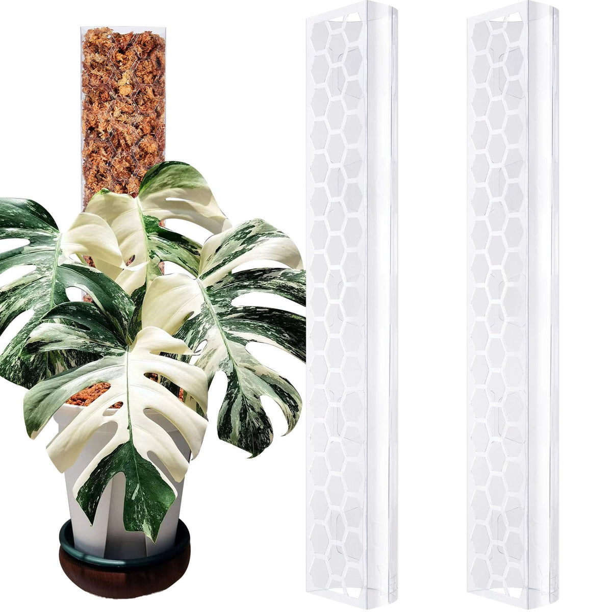 Haispring plastic moss pole supports Monstera climbing for vertical growth.