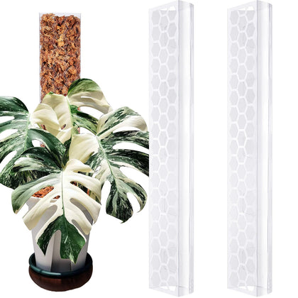 Haispring plastic moss pole supports Monstera climbing for vertical growth.