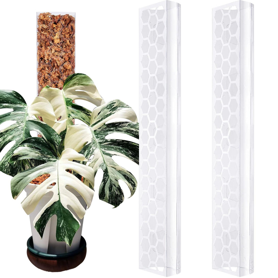 Haispring plastic moss pole supports Monstera climbing for vertical growth.