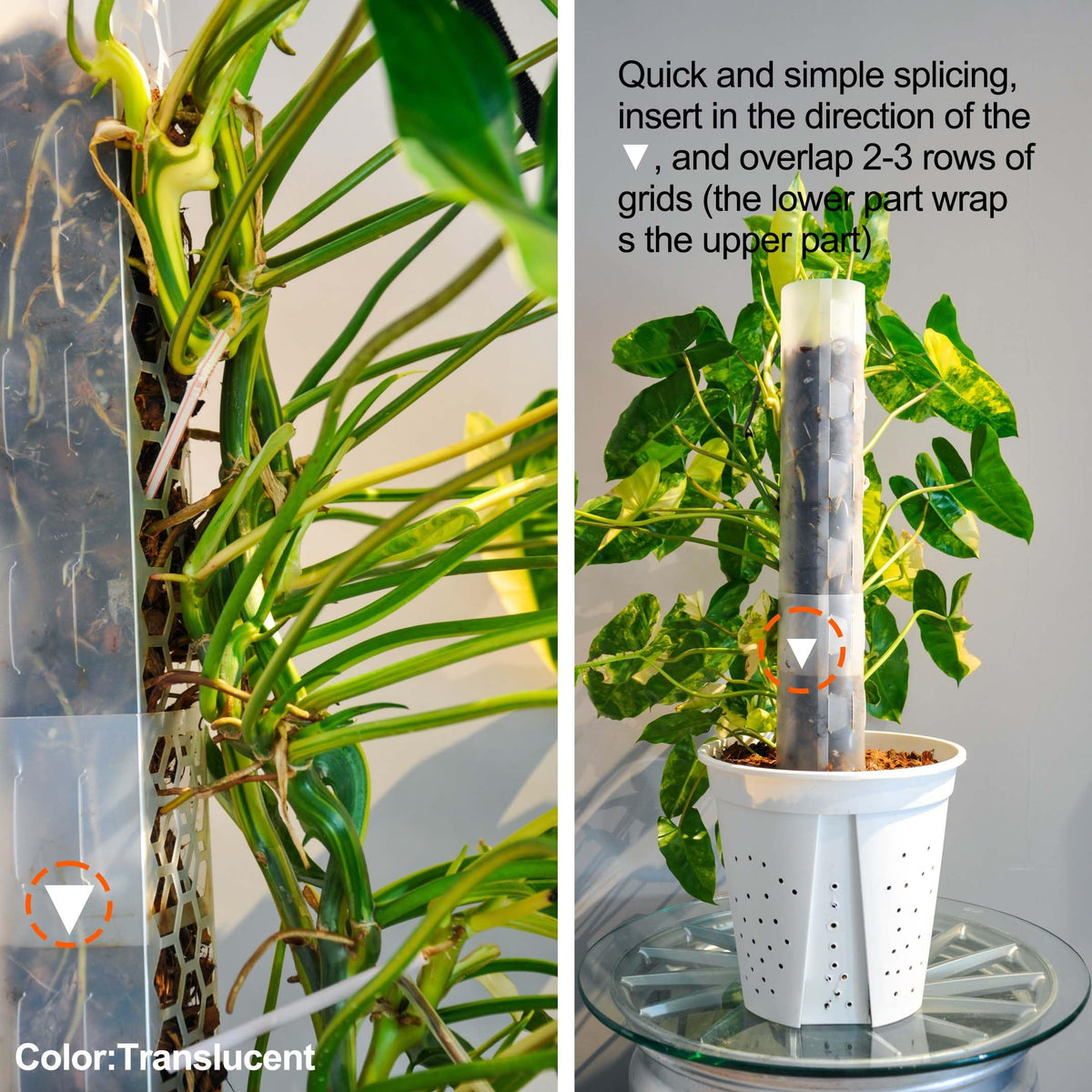 Haispring semi-cylindrical moss pole assembly shows fold-and-fit design.