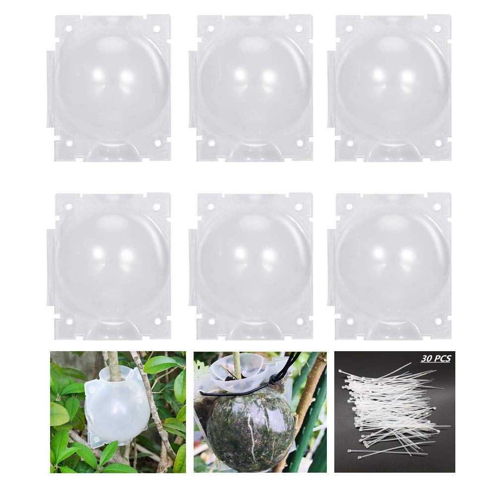 HAIZHINA air layering pod front view shows durable PP material for reliable cloning.