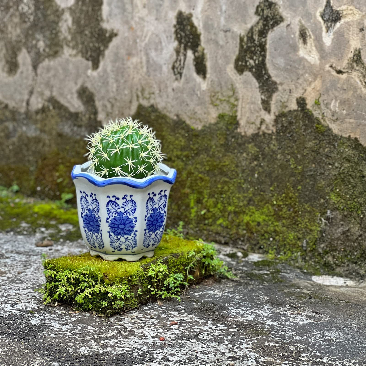 HakkaGirl set of three blue-white chinoiserie planters for versatile decorating