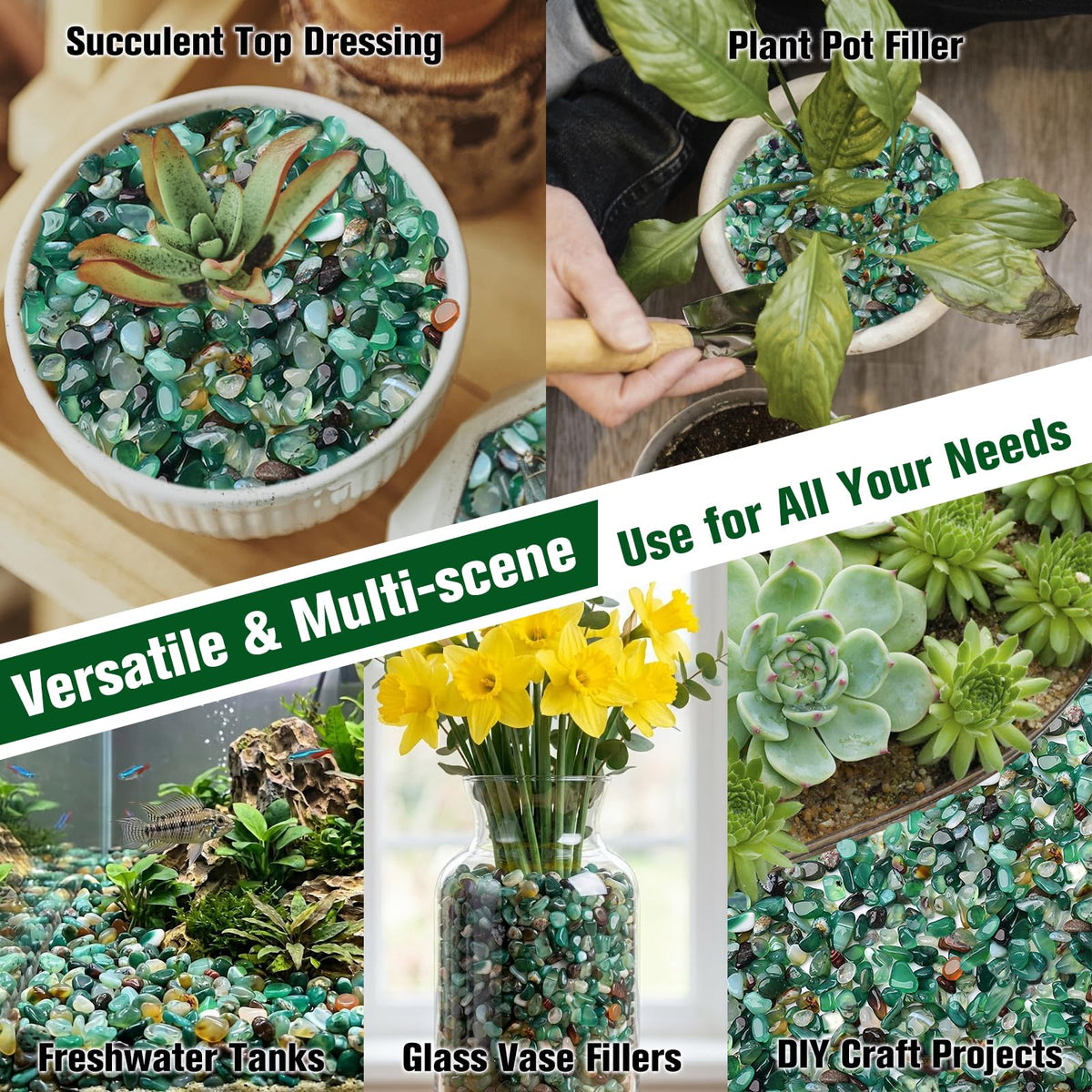 Halatool bonsai terrarium stones add rustic charm to arrangements
