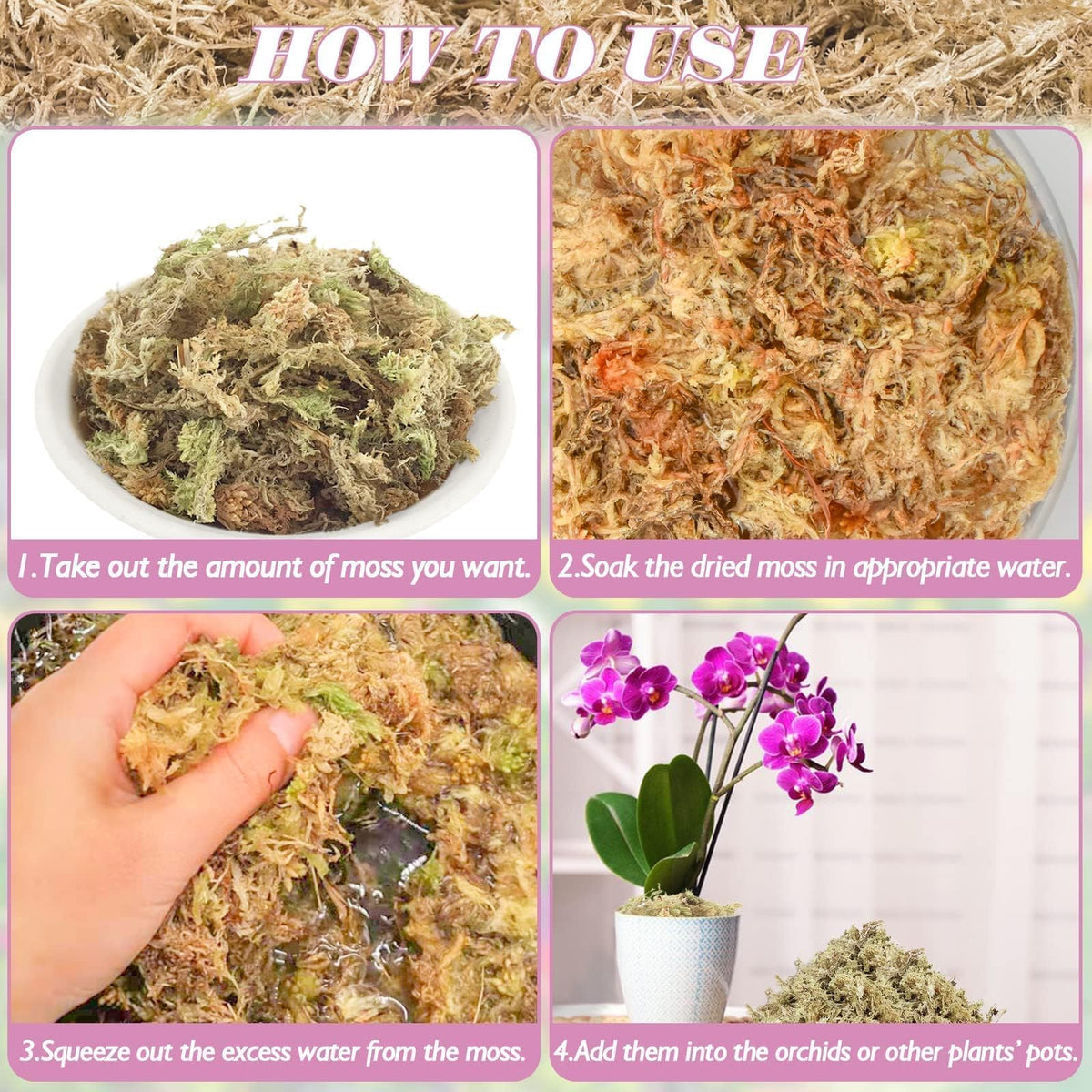 Halatool carnivorous-plant-sphagnum-terrarium provides humidity support for thriving terrarium habitats.
