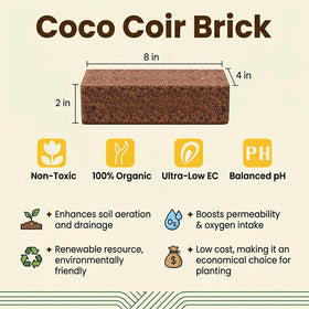 Halatool coco coir brick after expansion, ready for potting and better drainage.