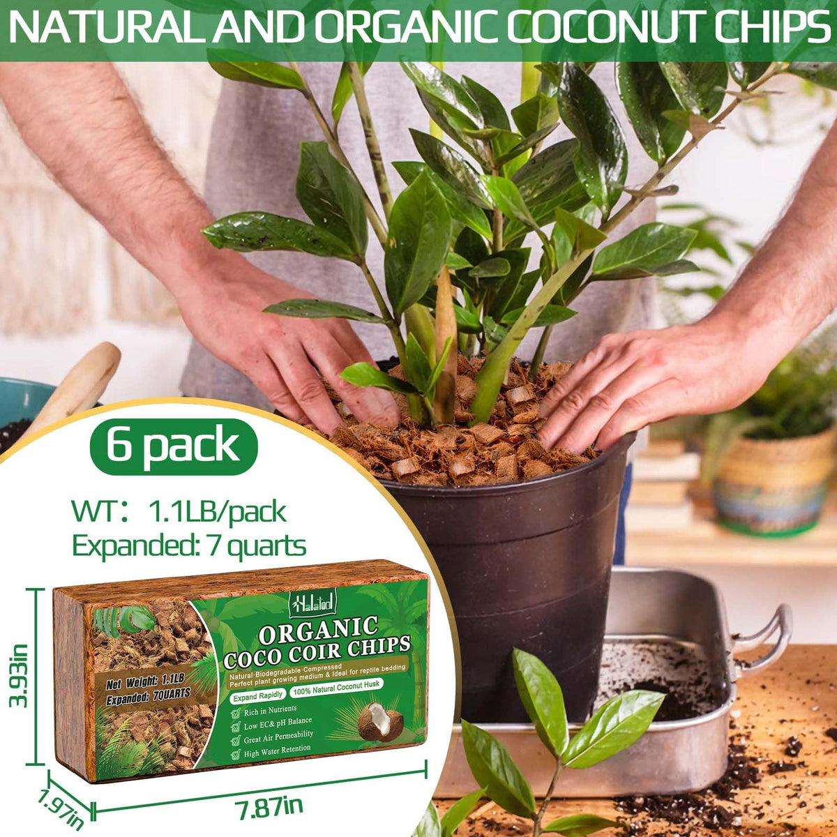 Halatool coco husk chip bricks expanding in water to form growing medium