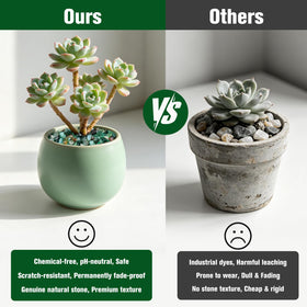 Halatool decorative stones for DIY vases and bottle garden projects.