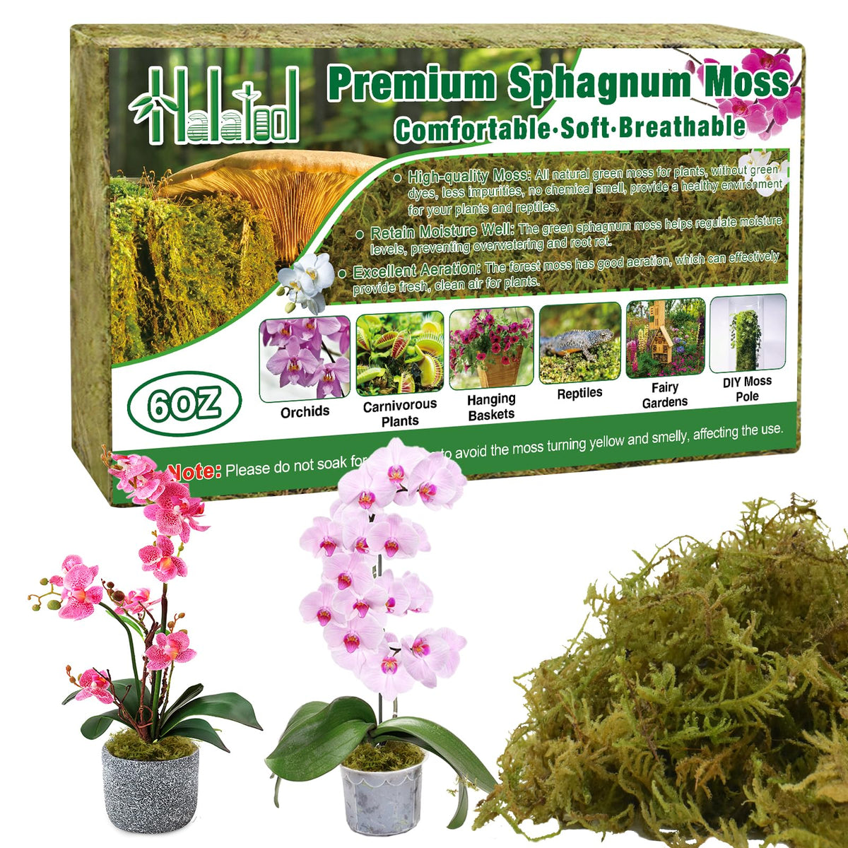 Halatool Green Forest Moss brick expands when soaked, ideal for quick setup.