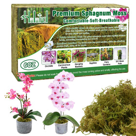Halatool Green Forest Moss brick expands when soaked, ideal for quick setup.
