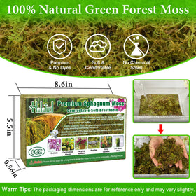 Halatool Green Forest Moss fluffy texture enhances top-dressing aesthetics.